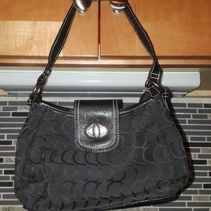 Black Purse